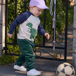 Dinosaur Print Raglan Top 5-6y / 116